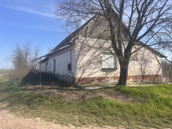 Eladó családi ház, Dombegyház 2+1 szoba 7 M Ft