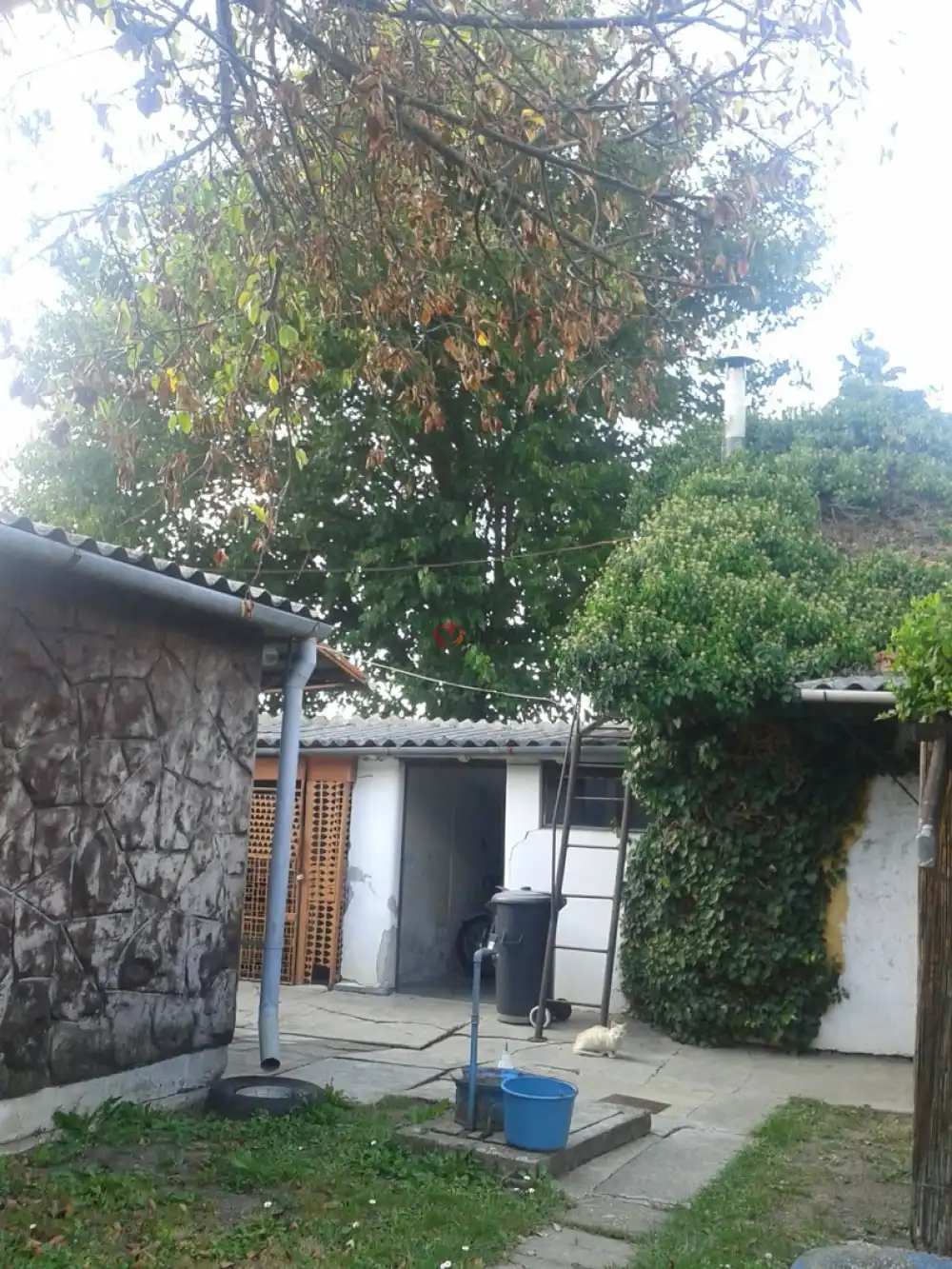 Békés megye - Gyulavári