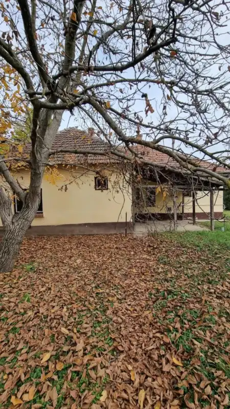 Eladó családi ház, Kötegyán 4 szoba 80 m² 6.2 M Ft