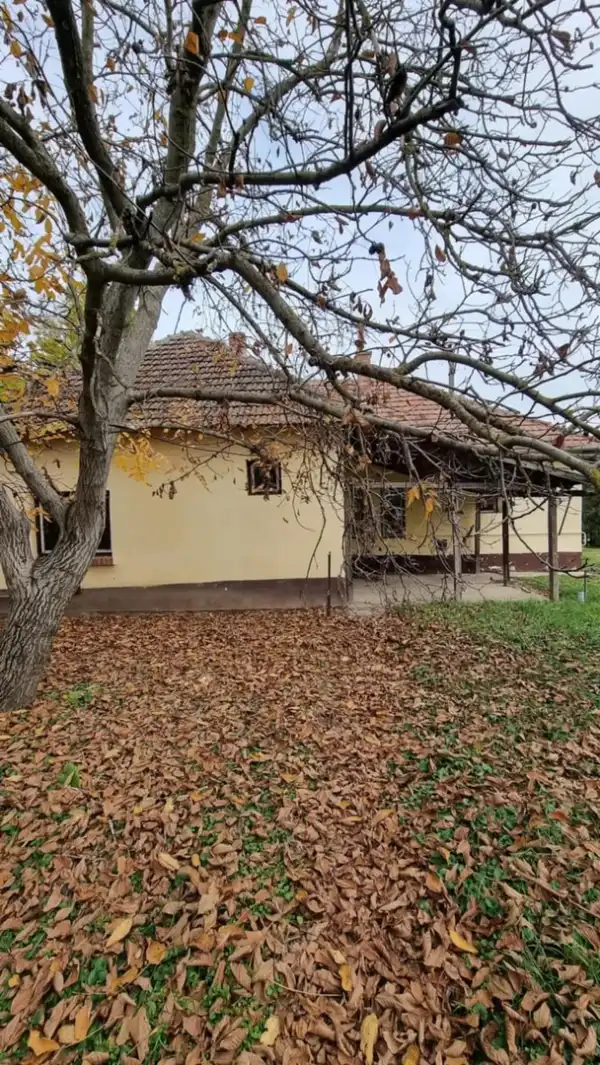 Eladó családi ház, Kötegyán 4 szoba 80 m² 6.2 M Ft