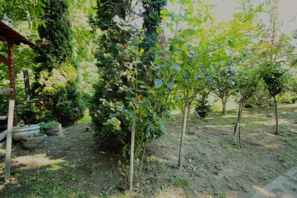 Békés megye - Sarkad