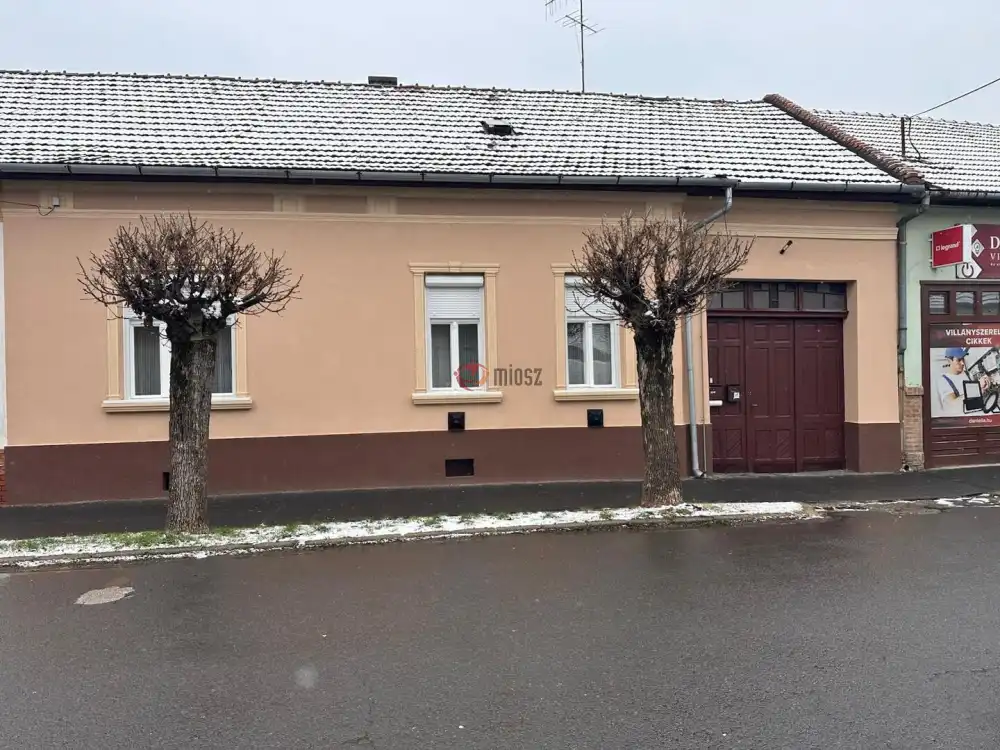 Békés megye - Gyula